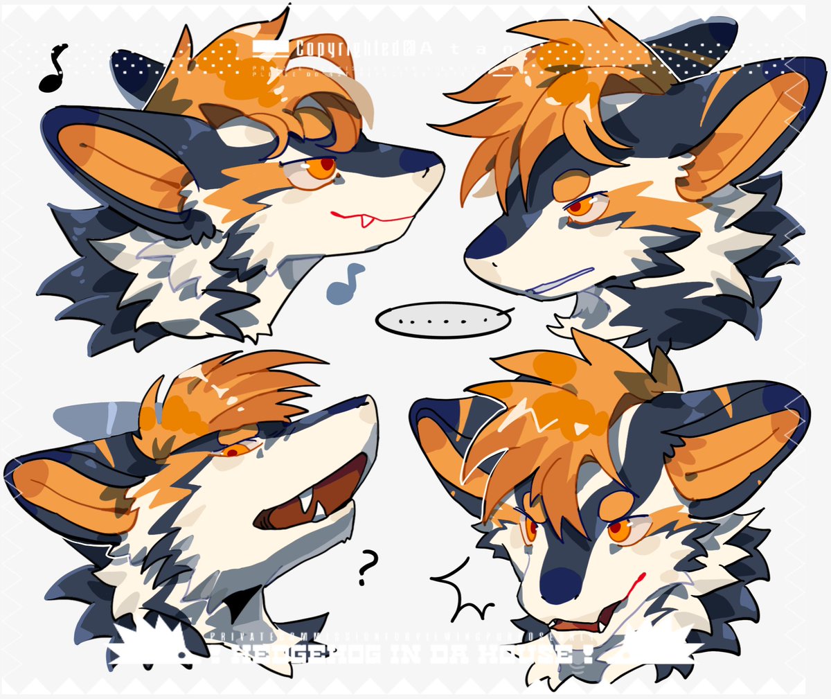 Foxpool3's tweet image. cm🐉