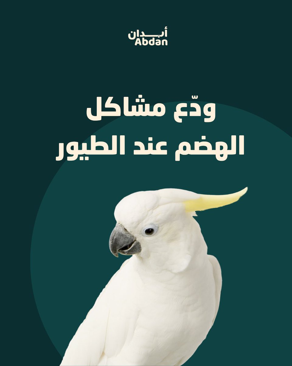 أبــدان tweet media