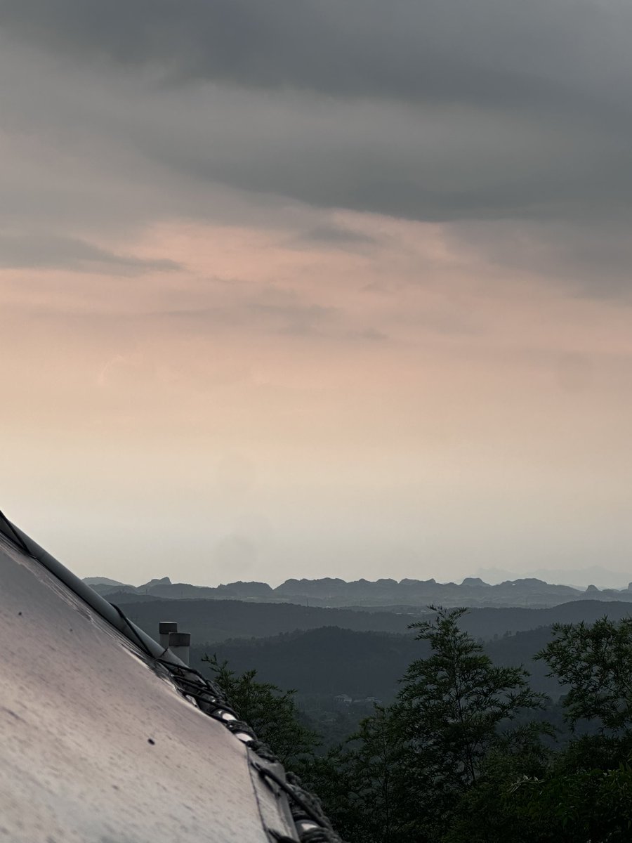 Stellie｜Msu 🍄 tweet media