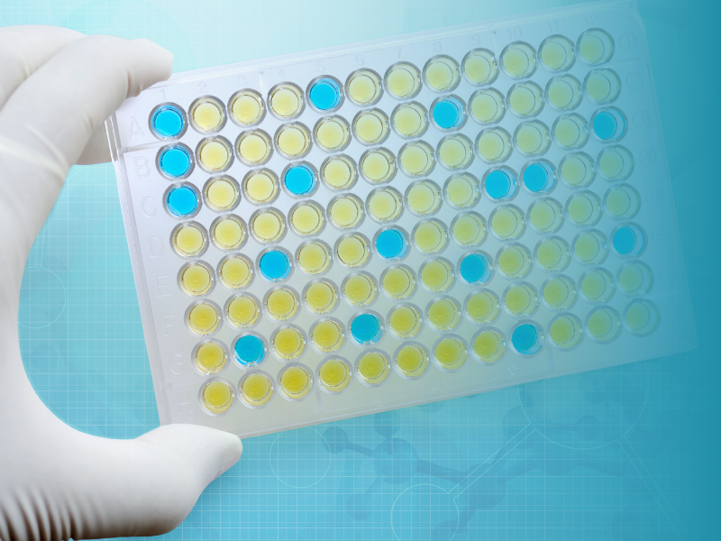 wakopyrostar's tweet photo. 4 ways LumiMAT™ differs from traditional sterility pyrogen testing 👇

✅ Easier to handle (no ELISA needed)
✅ Completed in 5 hours
✅ Lot-to-lot variation was not observed
✅ Detects both endotoxin and non-endotoxin pyrogens

Read more on our blog: https://t.co/u4PVjaLcsP https://t.co/k85pB1RfSN