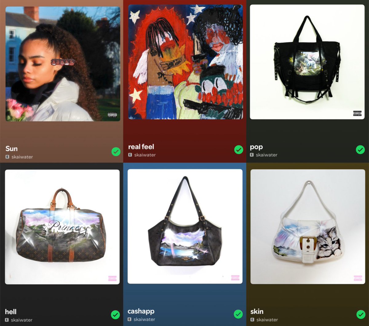 what is skaiwater’s best intro?