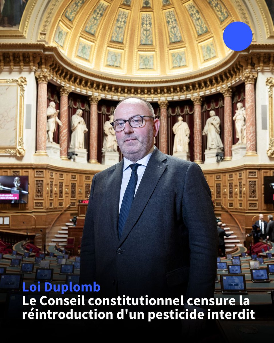 🇫🇷 Le Conseil constitutionnel a censuré jeudi la disposition la plus contestée de la loi Duplomb, qui prévoyait la réintroduction sous conditions d'un pesticide interdit de la famille des néonicotinoïdes, jugée par les Sages contraire à la Charte de l'environnement.