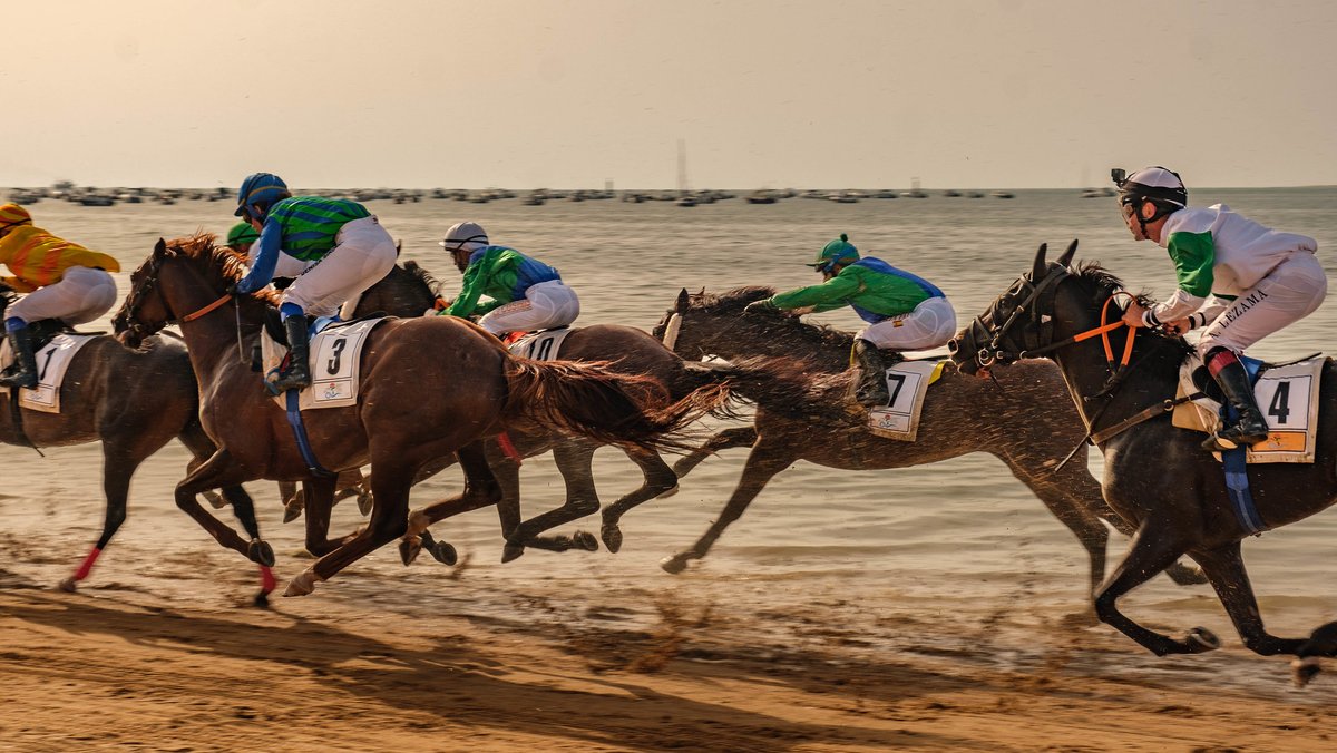 CanalSur (@canalsur) on Twitter photo 🔴 En breve, resumen diario 📹 de la segunda jornada de las Carreras de Caballos de Sanlúcar de Barrameda (Primer Ciclo)🏇
🗣️Comentarios: Jesús Bayort 🎙️
👉🏼En directo, en CanalSurTV (15:05) y canalsurmas.es
🏫 <a href="/Carreras_Caba/">Real Sociedad de las Carreras de Caballos Sanlúcar</a> | <a href="/AytoSanlucar/">Ayuntamiento de Sanlúcar de Barrameda</a>
🏖️ #MójateConCanalSur 🔴 En breve, resumen diario 📹 de la segunda jornada de las Carreras de Caballos de Sanlúcar de Barrameda (Primer Ciclo)🏇
🗣️Comentarios: Jesús Bayort 🎙️
👉🏼En directo, en CanalSurTV (15:05) y canalsurmas.es
🏫 <a href="/Carreras_Caba/">Real Sociedad de las Carreras de Caballos Sanlúcar</a> | <a href="/AytoSanlucar/">Ayuntamiento de Sanlúcar de Barrameda</a>
🏖️ #MójateConCanalSur