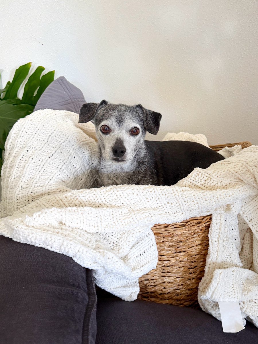 everything is a bed if you try hard enough.