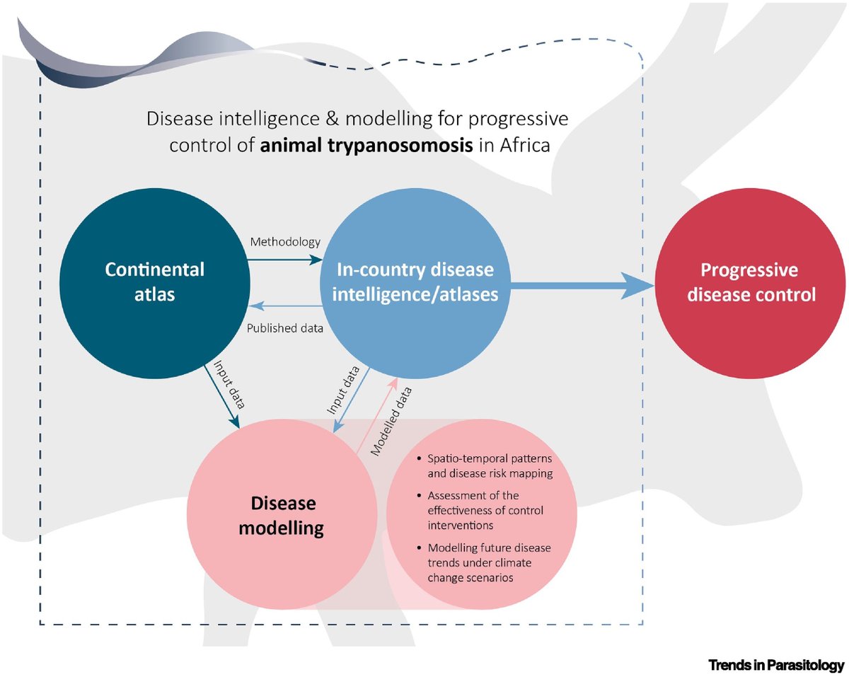 Trends in Parasitology (@trendsparasitol) on Twitter photo Drs <a href="/CecchiGiuliano/">Giuliano Cecchi</a> N. Ngari, M. Paone, J. de Gier, S. Onyango, A. Barreaux, S. Thévenon, P. Solano, A. Kaye <a href="/wsdtennant/">Warren Tennant</a> M.J. Tildesley & <a href="/HalosLenaig/">Lenaig Halos</a> discuss disease intelligence & #modelling for progressive control of #animal #trypanosomosis in #Africa.
authors.elsevier.com/a/1lY-a5Eb1xN6… Drs <a href="/CecchiGiuliano/">Giuliano Cecchi</a> N. Ngari, M. Paone, J. de Gier, S. Onyango, A. Barreaux, S. Thévenon, P. Solano, A. Kaye <a href="/wsdtennant/">Warren Tennant</a> M.J. Tildesley & <a href="/HalosLenaig/">Lenaig Halos</a> discuss disease intelligence & #modelling for progressive control of #animal #trypanosomosis in #Africa.
authors.elsevier.com/a/1lY-a5Eb1xN6…