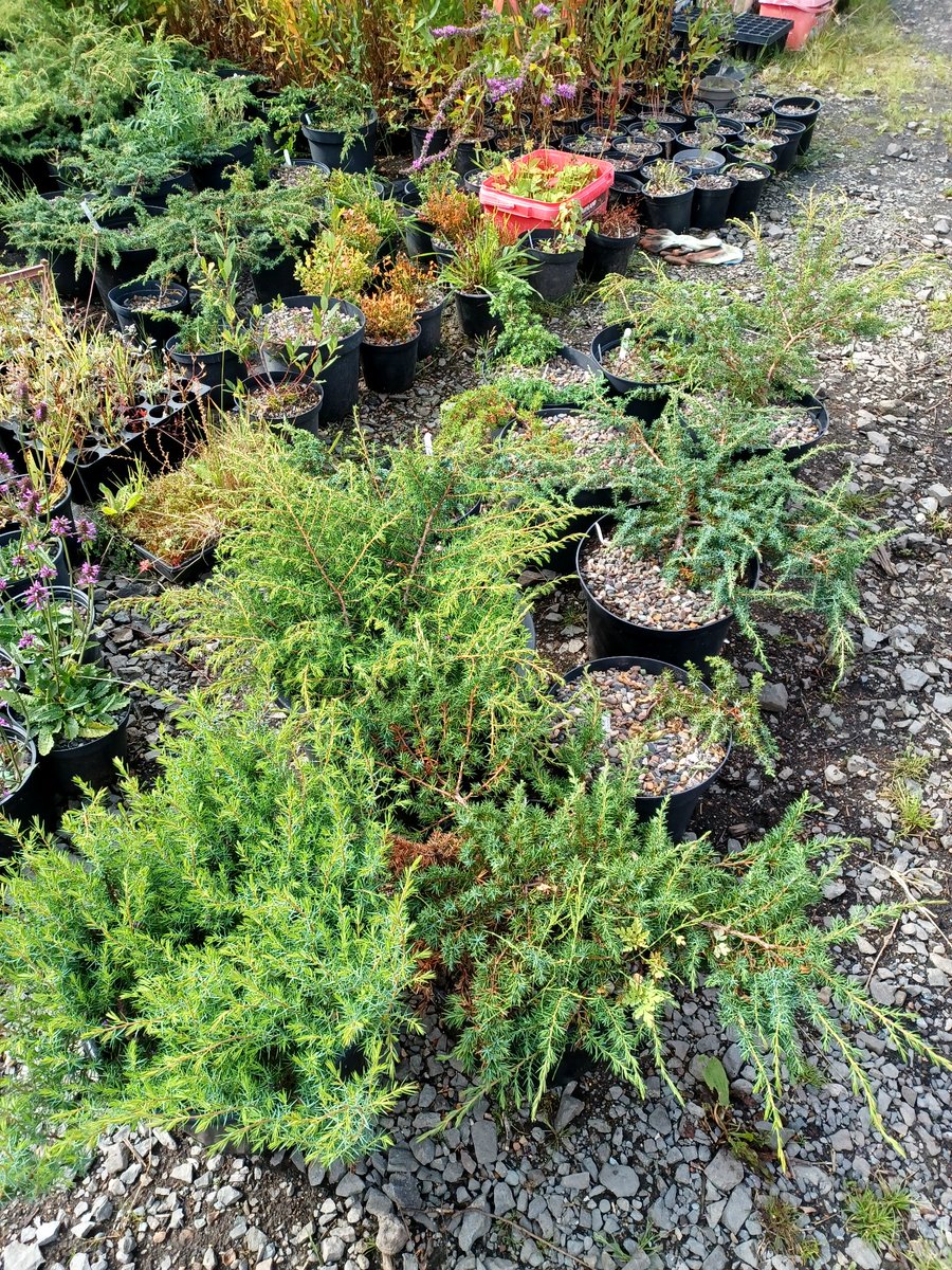 Eadha Enterprises tweet media