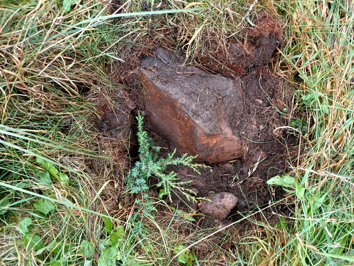 Eadha Enterprises tweet media