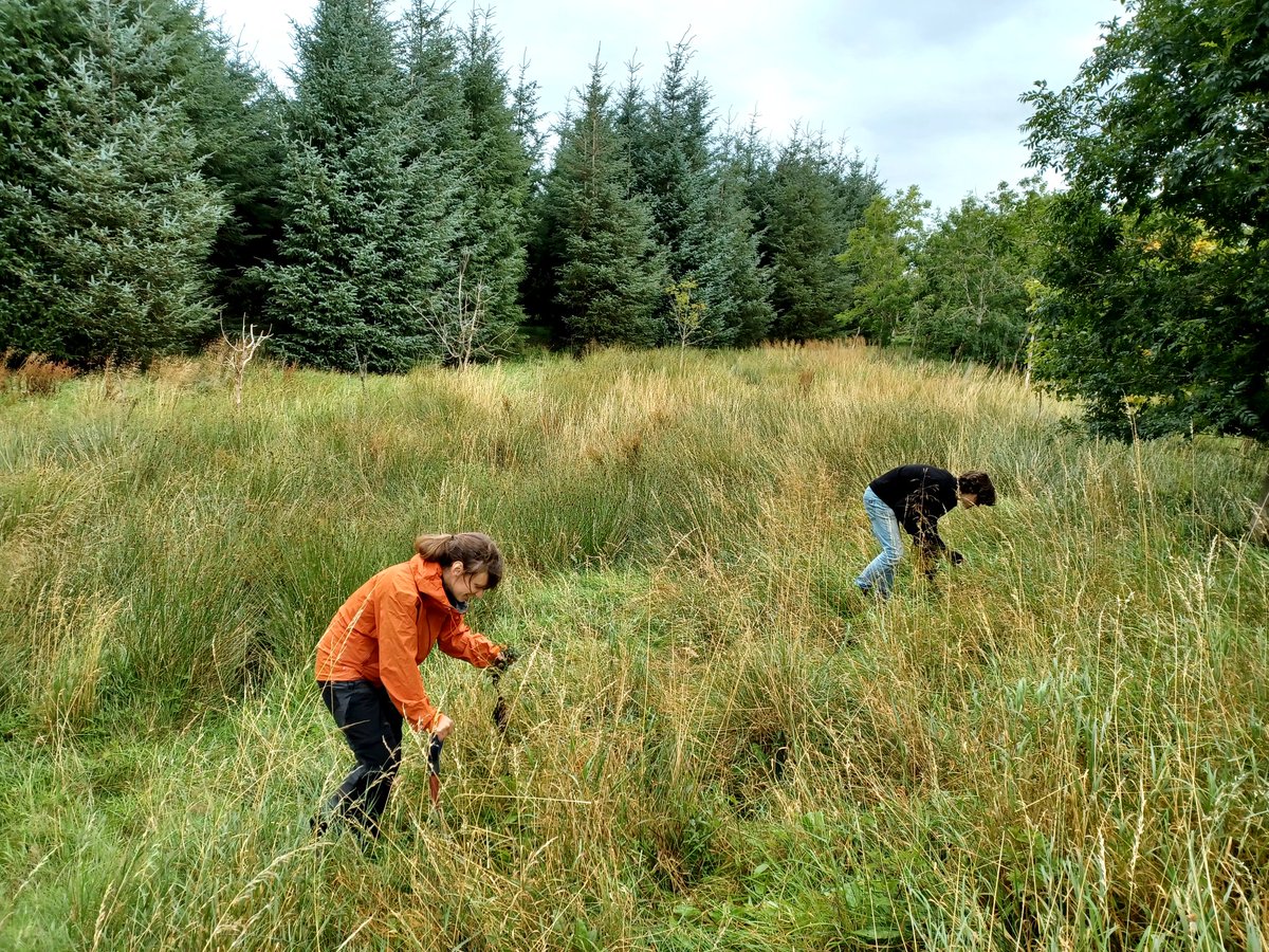 Eadha Enterprises tweet media