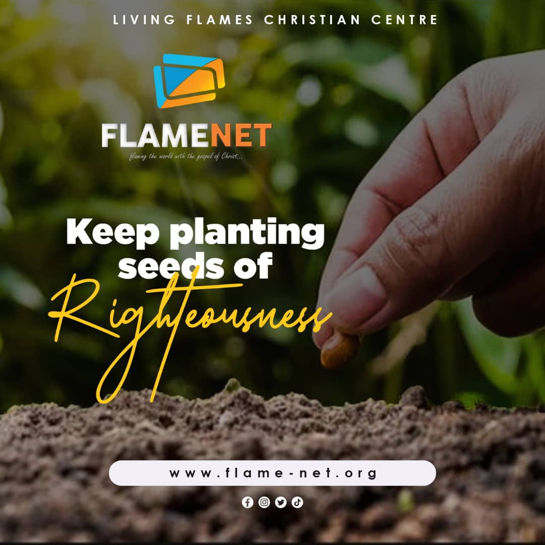 FlameNetwork_1's tweet photo. https://t.co/kXZOtNkO0X