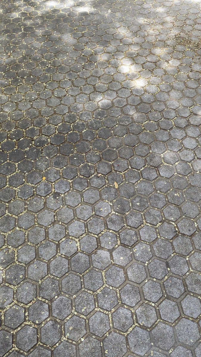 Miguel (@amadosev) on Twitter photo 