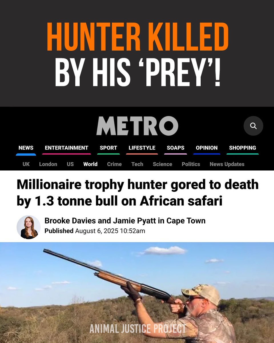 ajpReact's tweet image. A millionaire trophy hunter has been killed by the very animal he paid to hunt.

Wild animals aren’t trophies. They’re not entertainment. They’re not here to be conquered.

👉 Repost if you agree no life should end for someone’s ego

#EndTrophyHunting #AnimalJusticeProject