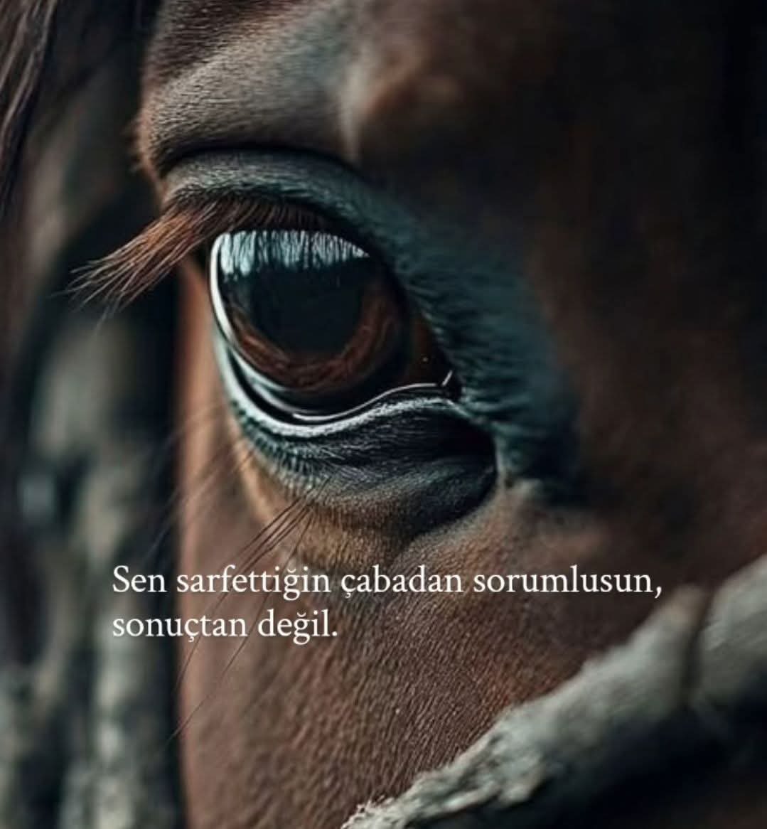 MOTİVASYON (@derinbirneffess) on Twitter photo 