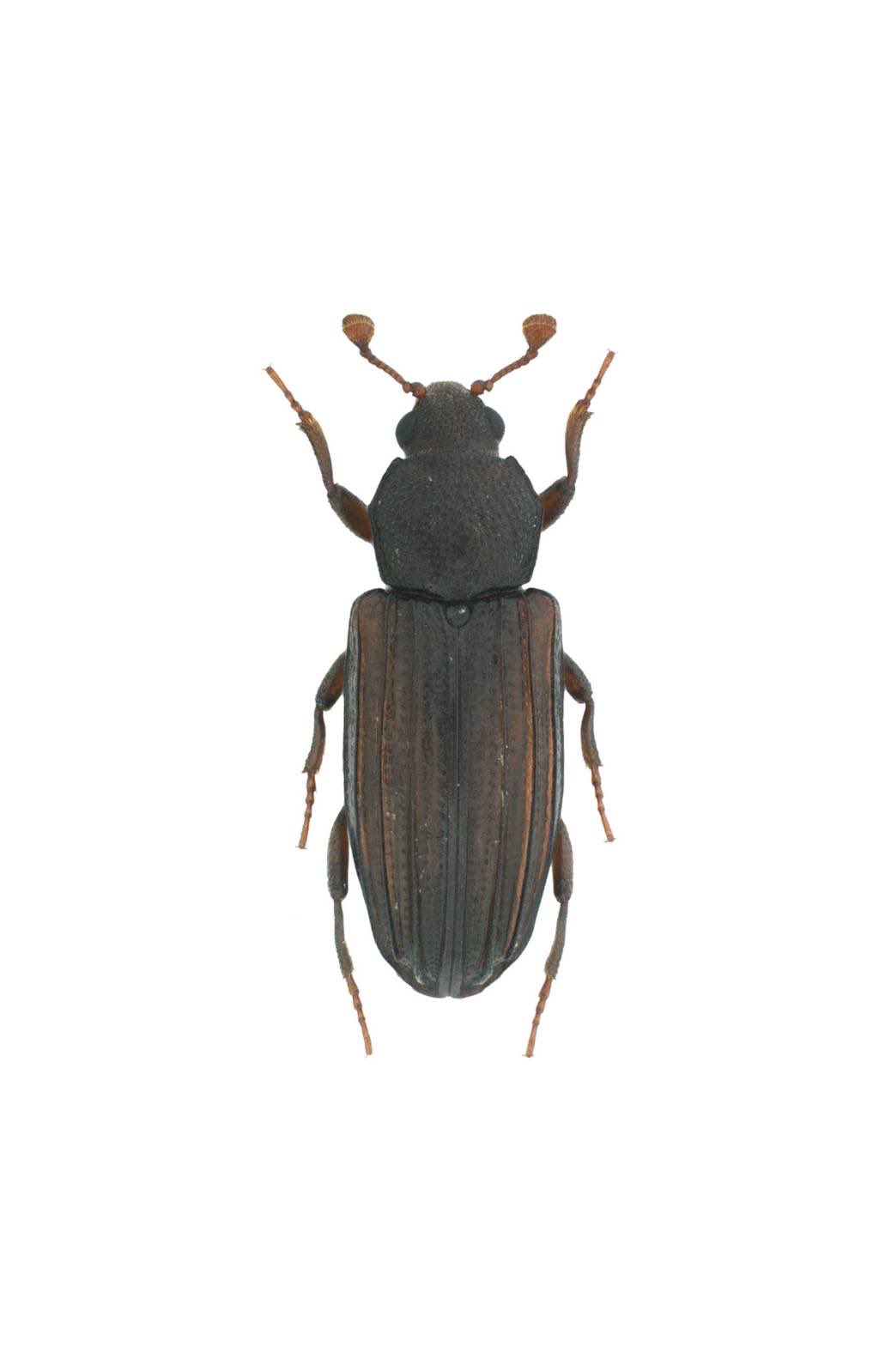 S.Yeki (@house101064) / X