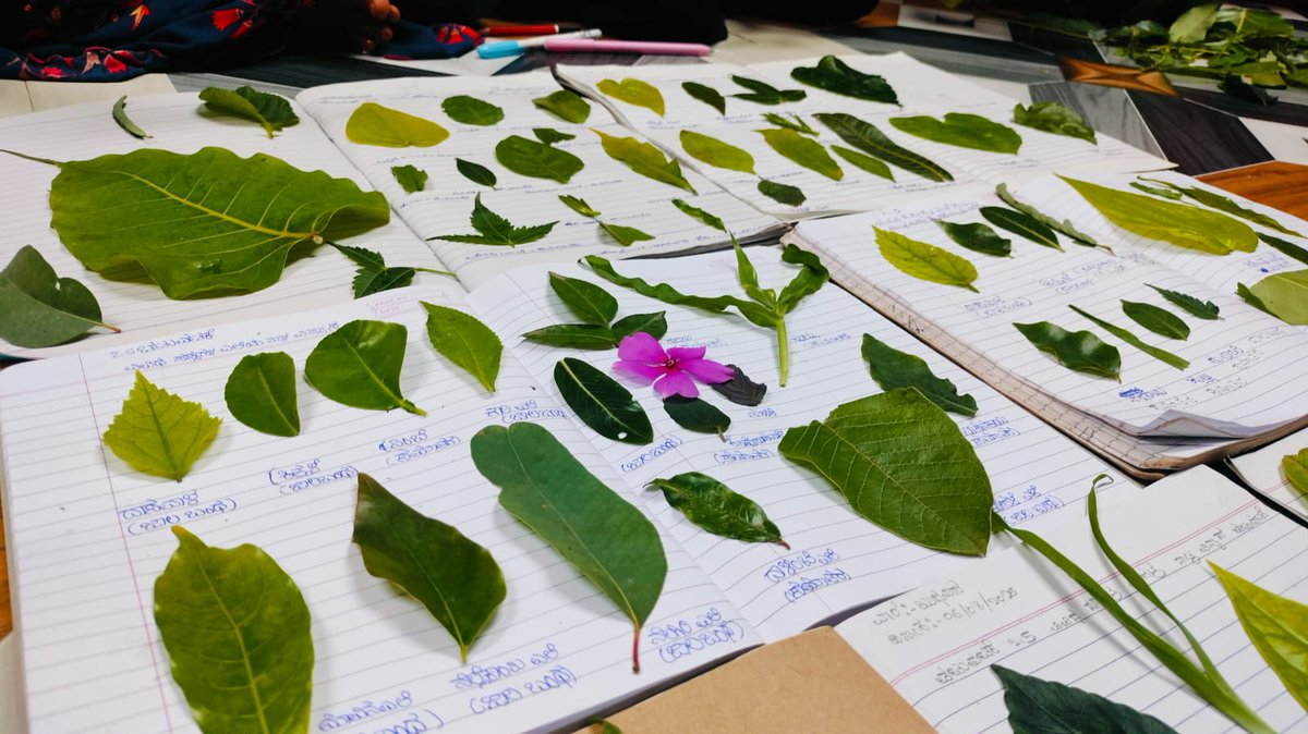 CommrPR's tweet image. ಅರ್ಲಿ ಬರ್ಡ್ ಫೌಂಡೇಷನ್ ನ ಪಕ್ಷಿ ಪ್ರಪಂಚ ಮತ್ತು ಸಸ್ಯಗಳ ಪರಿಚಯದ ಭಾಗವಾಗಿ ಬೆಳಗಾವಿ ತಾಲ್ಲೂಕಿನ ಮಾರೀಹಾಳ ಗ್ರಾಮ ಪಂಚಾಯತಿ ಅರಿವು ಕೇಂದ್ರದಲ್ಲಿ ಐದು ಮತ್ತು ಆರನೇ ತರಗತಿ ವಿದ್ಯಾರ್ಥಿಗಳಿಗೆ ವಿವಿಧ ಸಸ್ಯಗಳ ಎಲೆಗಳ ನಾಳ ವಿನ್ಯಾಸ ಕುರಿತು ಆಯೋಜಿಸಲಾಗಿದ್ದ ಪ್ರಾಯೋಗಿಕ ಚಟುವಟಿಕೆಯಲ್ಲಿ ನೇರವಾಗಿ ಭಾಗವಹಿಸಿದ ವಿದ್ಯಾರ್ಥಿಗಳು(1/2)