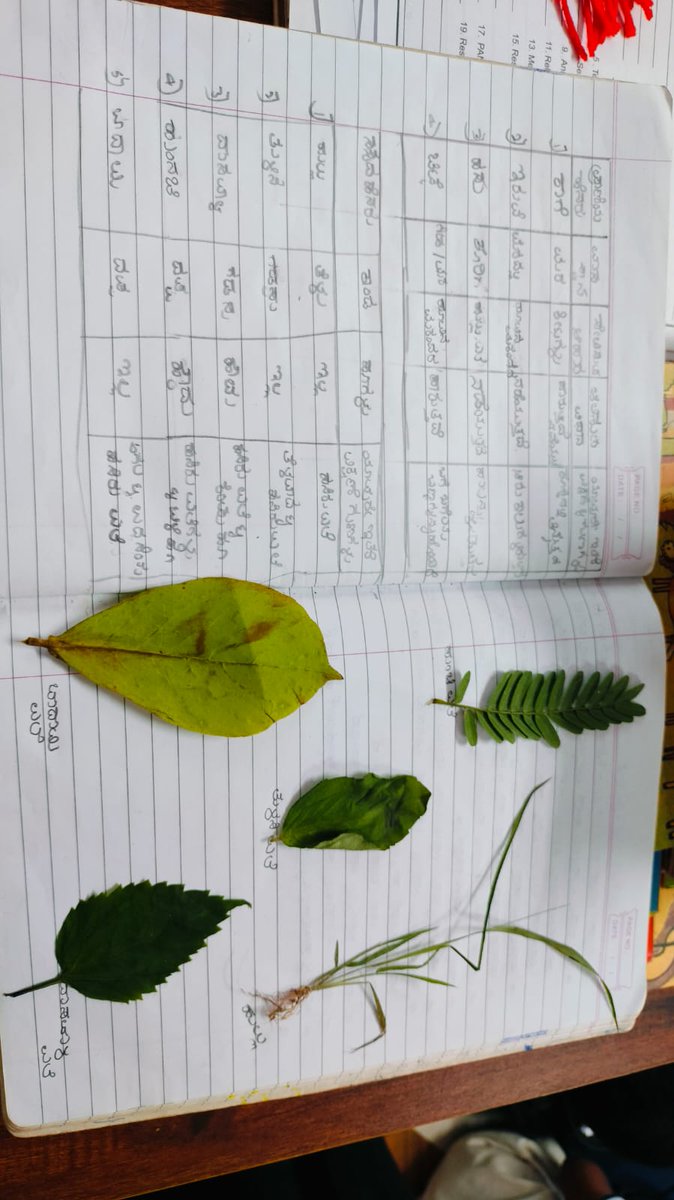 CommrPR's tweet image. ಎಲೆಗಳನ್ನು ಪರಿಶೀಲಿಸಿ, ನಾಳವಿನ್ಯಾಸವನ್ನು ಗುರುತಿಸುವ ಮೂಲಕ ವಿಜ್ಞಾನ ಅಂಶಗಳನ್ನು ನೈಜವಾಗಿ ಅನುಭವಿಸಿದರು. (/2/2)

@PriyankKharge
@readingkafka
@rdprgok
@earlybirdncf
#LeafVenation #StudentLearning #ScienceActivity #NatureEducation #LibraryPrograms #ChildFriendlyLibrary #LearningThroughNature