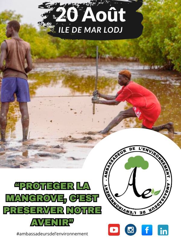 🇸🇳Ambassadeur🌳de l’environnement🌳 tweet media