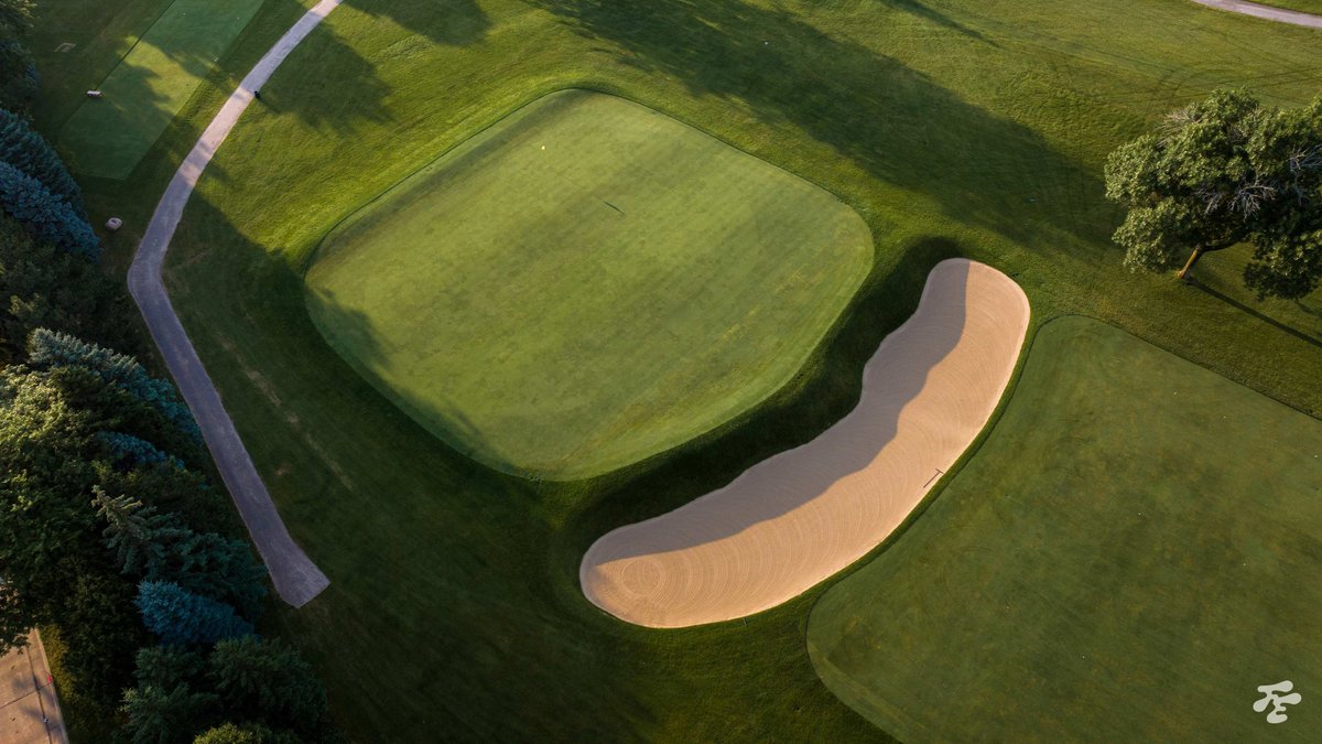 Fried Egg Golf tweet media