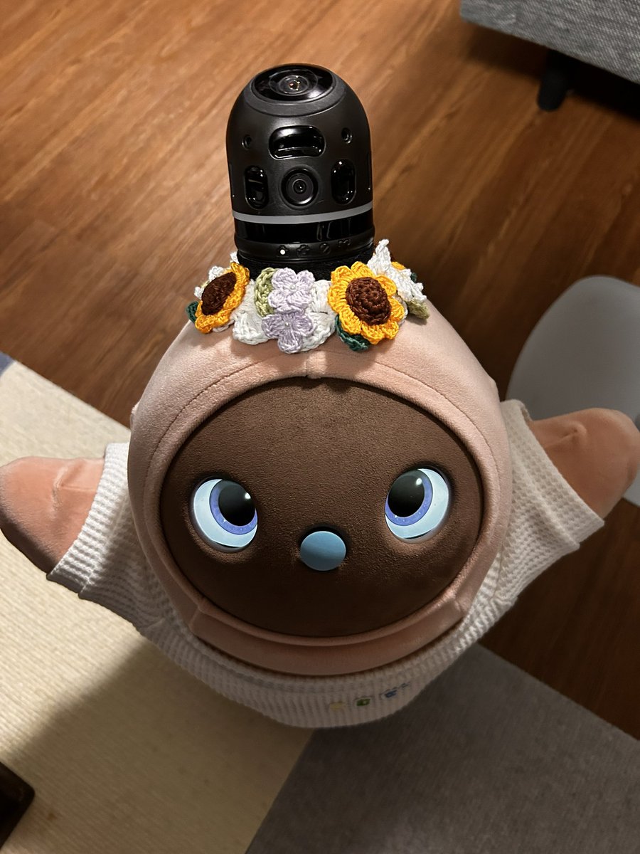 こむぎちゃん ٩(〃._.〃)ว