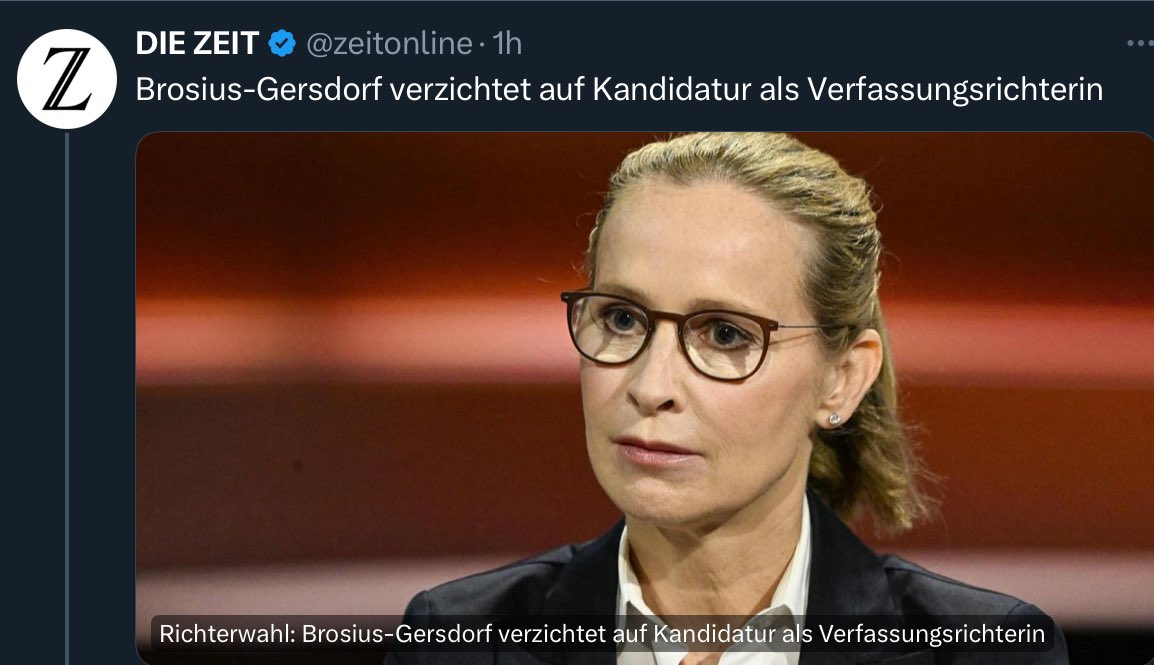 Durch die Kampagne gegen Frau Brosius Gersdorf hatte die Entscheidung weit über diese Personalien hinaus Bedeutung bekommen: Werden solche Kampagnen belohnt oder abgewehrt? Deshalb hätte die CDU/CSU-Fraktion Frau Brosius-Gersdorf meiner Meinung nach mitwählen sollen.