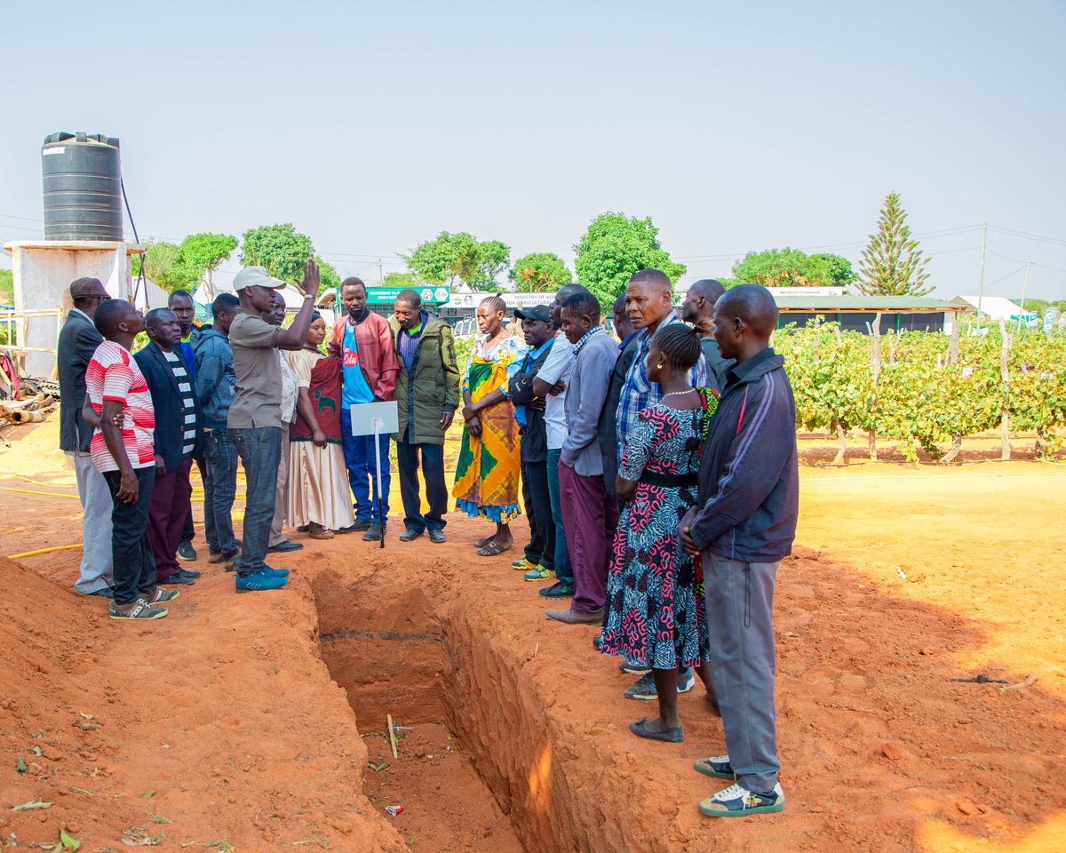TARI yazidi kuwafikia wadau mbalimbali wanaotembelea katika Maonesho ya kimataifa ya Kilimo Maarufu kama Nanenane kyanayoendelea viwanja mbalimbali ikiwemo kitaifa Nzuguni Jijini Dodoma. <a href="/HusseinBashe/">Hussein M Bashe</a>