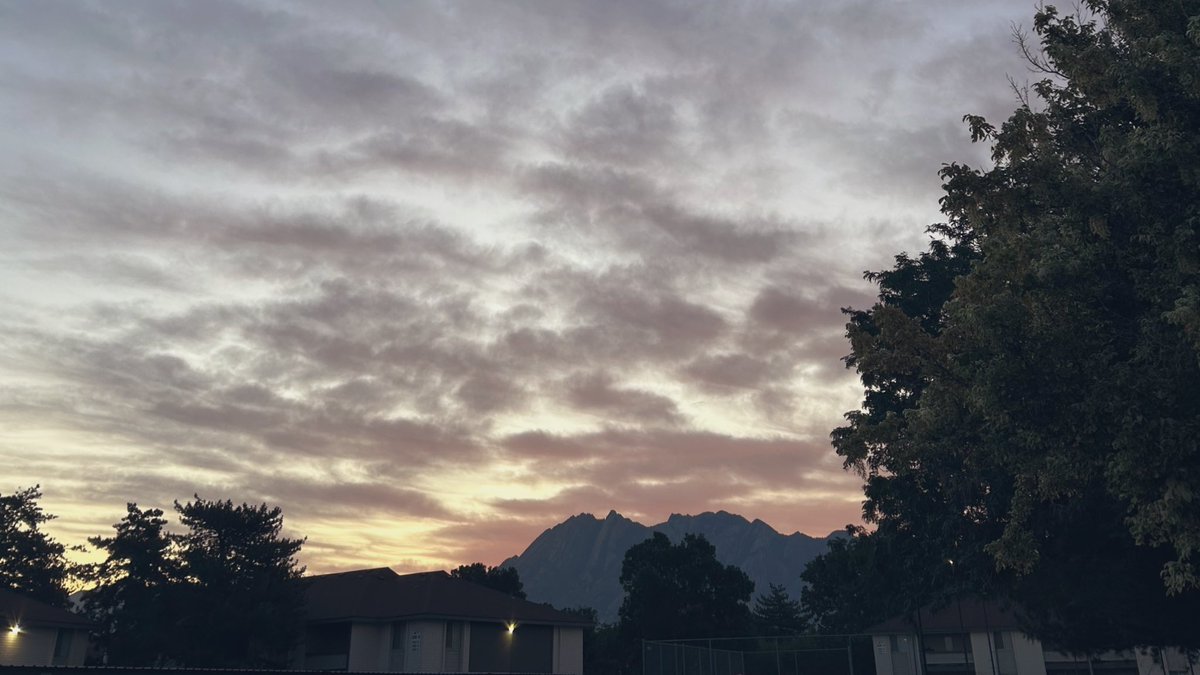 Shoutout <a href="/lexercise_/">Alex ☆</a> for inspiring my morning walk habit 😌 it’s been my absolute FAVORITE addition to my daily ritual this year and it wouldn’t have happened without seeing her dedication to herself 🩵
