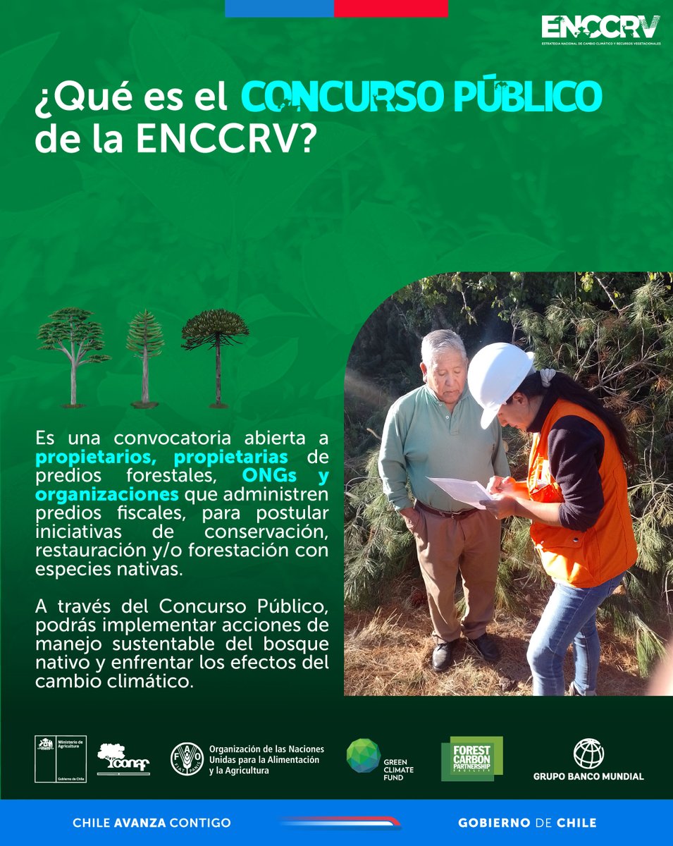 🟢Hace unos día se inició el 𝗽𝗿𝗼𝗰𝗲𝘀𝗼 𝗱𝗲 𝗽𝗼𝘀𝘁𝘂𝗹𝗮𝗰𝗶𝗼́𝗻 𝗮𝗹 𝗰𝗼𝗻𝗰𝘂𝗿𝘀𝗼 𝗽𝘂́𝗯𝗹𝗶𝗰𝗼 de la Estrategia Nacional de Cambio Climático y Recursos Vegetacionales (ENCCRV).

#CONAF junto a <a href="/FAOChile/">FAO Chile</a> y el Banco Mundial están liderando diversas 𝗮𝗰𝗰𝗶𝗼𝗻𝗲𝘀