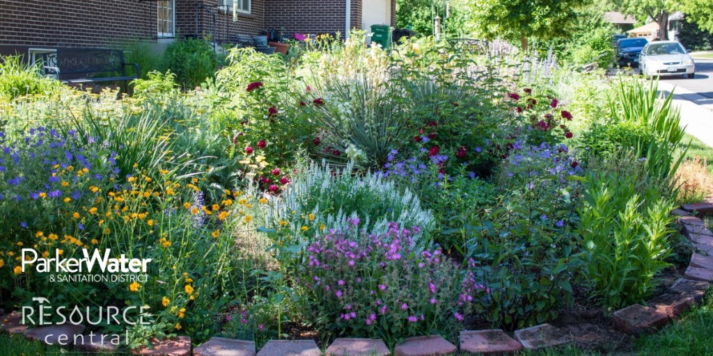 Summer Garden In A Box kits are selling quickly! Purchase now, pick up, and plant this fall. As a Parker Water customer, you get $25 off these beautiful, water-saving garden kits! Explore the stunning collection here and buy today before they run out! resourcecentral.org/gardens/shop/