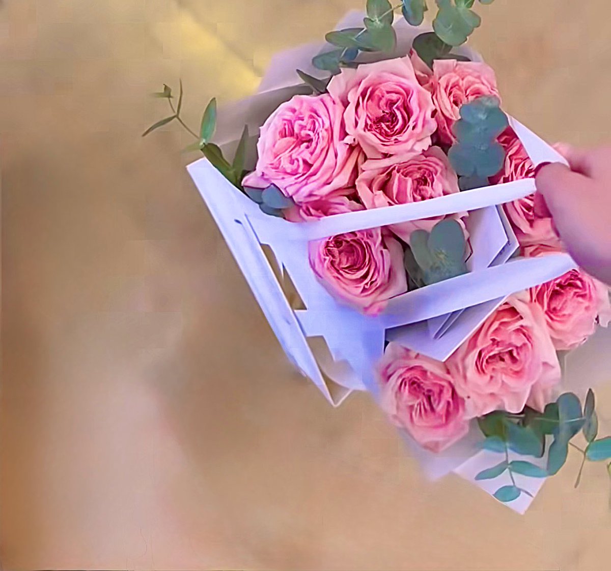 <a href="/R_2023K/">R@nia</a> ورداتي 🌸🌸🌸