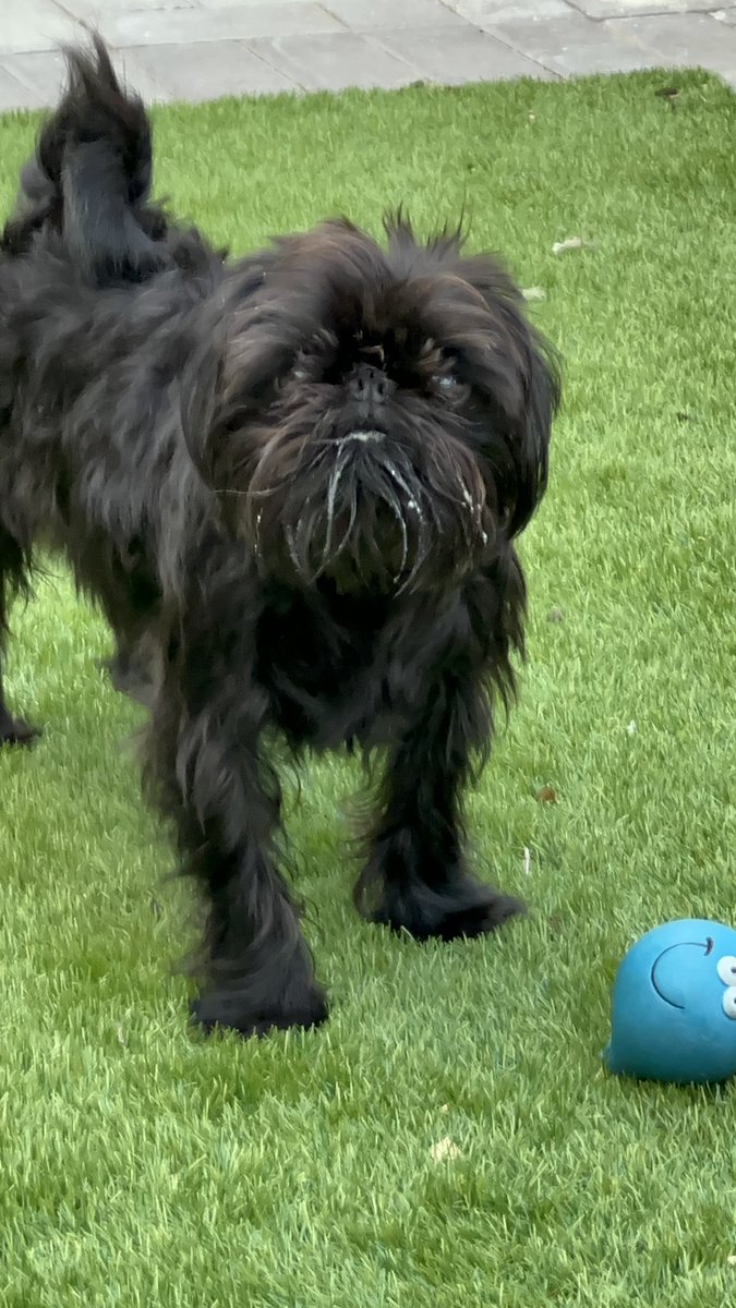 Switching from sailing at Cowes Week to footy this Saturday, here’s to a strong start for #COVCOVCOV in the 25-6 season let’s GOAAALLL 🦾🐘👑🎶🩵🚀 #PUSB