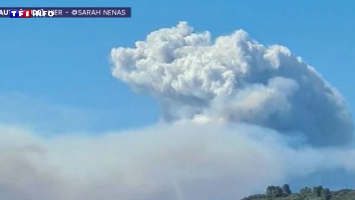 TF1Info's tweet image. Un "pyrocumulus" : qu'est-ce que ce phénomène qui est apparu au-dessus de l'incendie de l'Aude ?
➡️ l.tf1info.fr/j4c