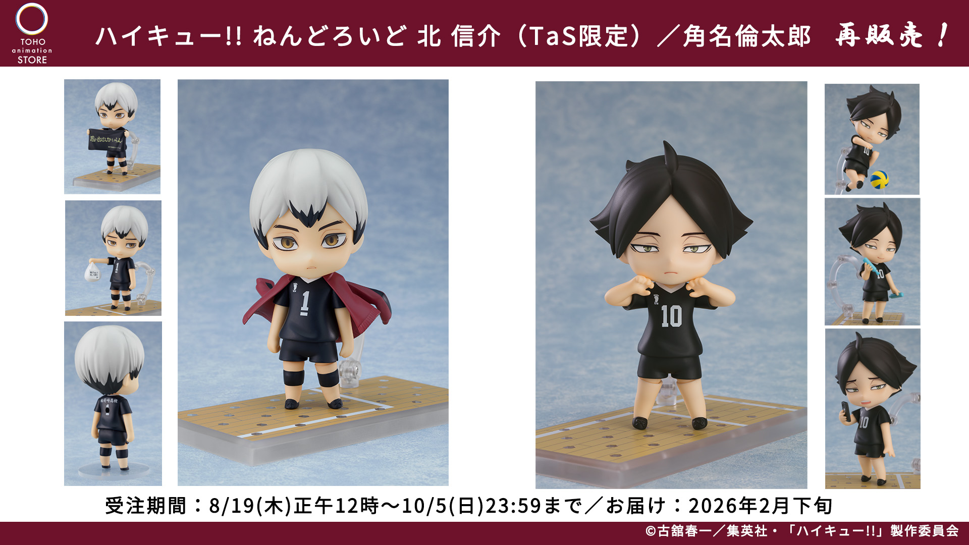 TOHO animation STORE on X: 