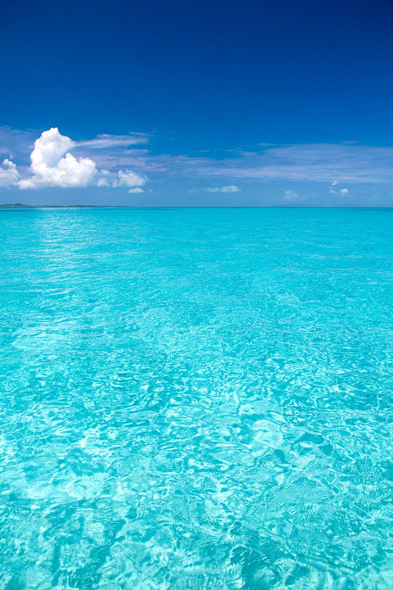 日本の海が世界で1番美しい事を
世界で1番知らないのは日本人

美しい沖縄の海が
いつまでも日本の宝でありますように