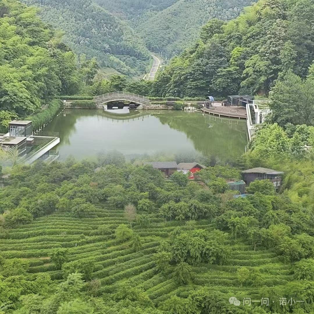 赣州的绿色！大自然的感觉