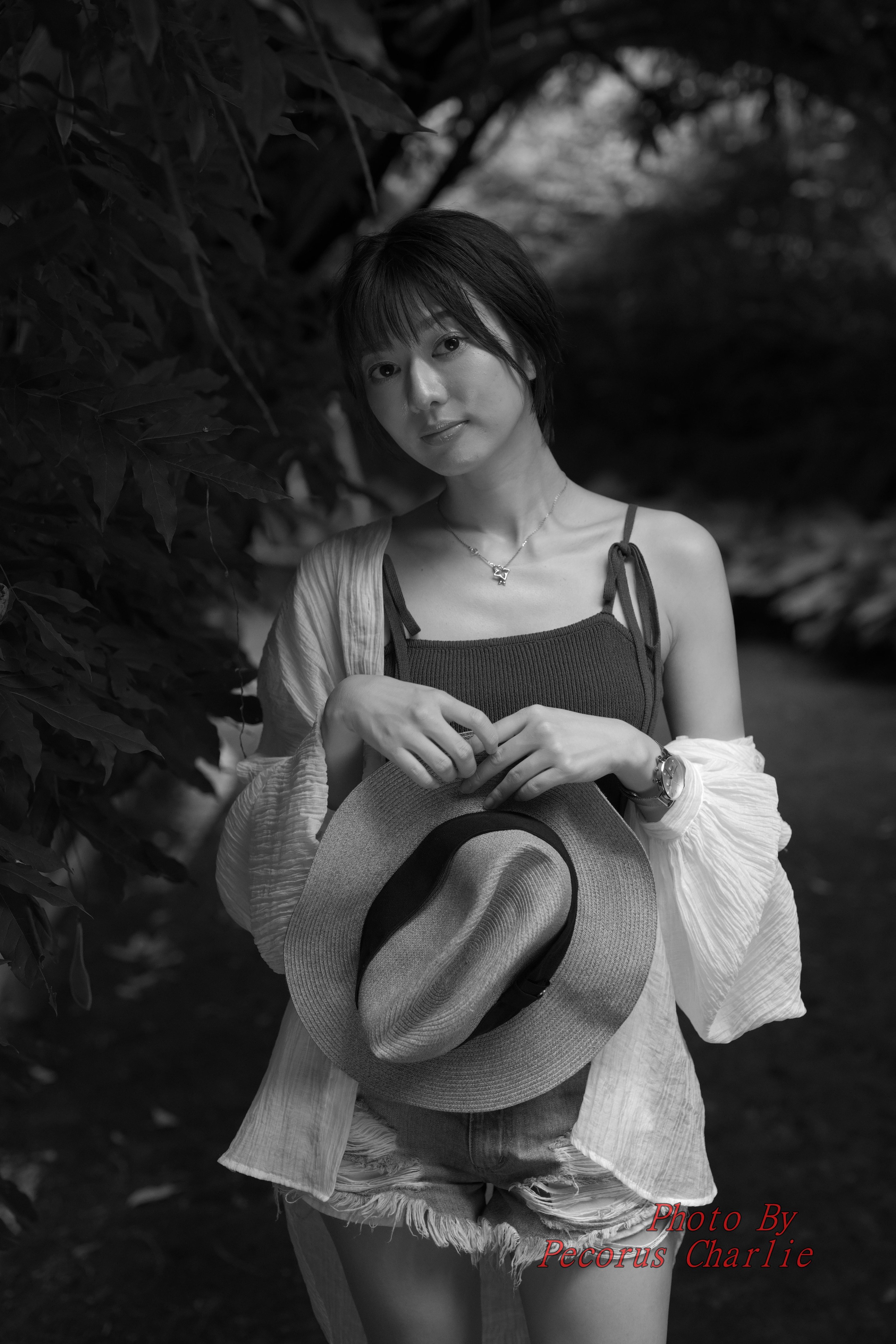 ペコロス・チャーリー しばらく撮影できないから過去の作品を