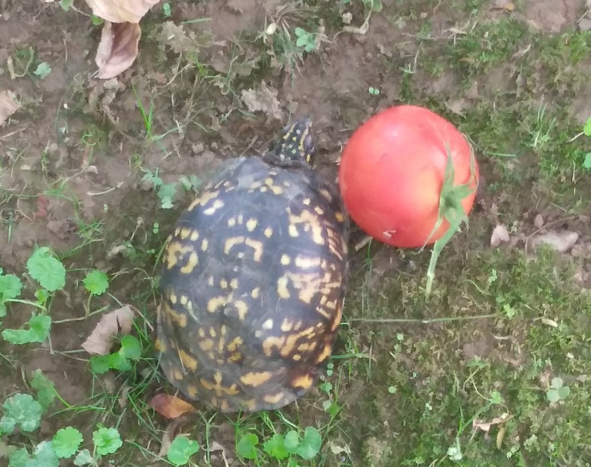 Doing my part to help the next generation of Ninja ☺