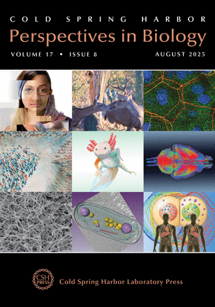 Alejandro Montenegro tweet media