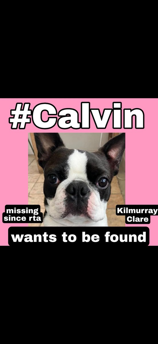 Really need prayers to find #Calvin. Out searching at 6:30, lovely man Ronan McDonnell came with a drone  &amp; a very kind lady is using her mting dogs to search using scent. Nigel there now co-ordinating.Fab community but we have had no luck.His humans in hosp are distraught.