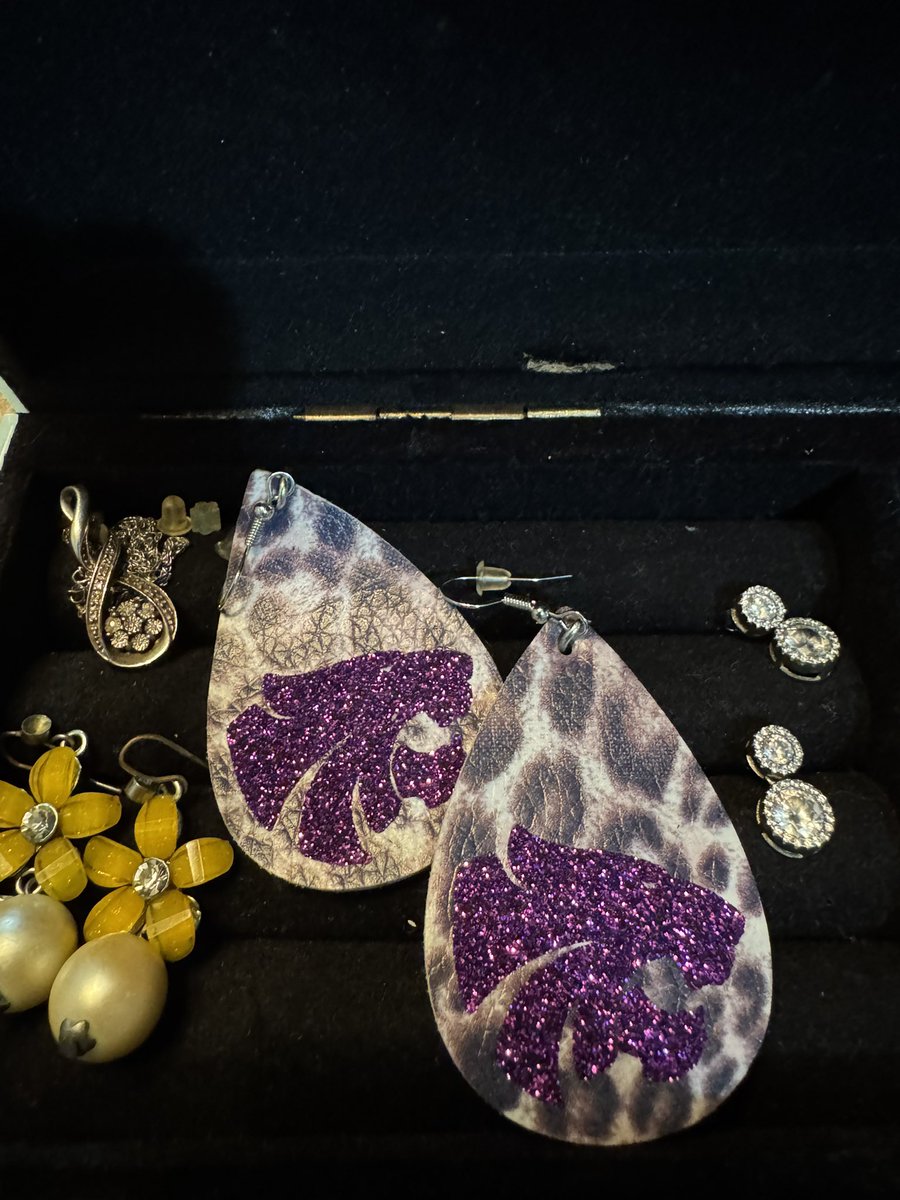 Headed to THE <a href="/HumbleISD/">Humble ISD</a> convocation with my <a href="/HumbleISD_HMS/">Humble Middle School</a> earrings from my great friend <a href="/BriG_AMS/">Bri Gonzales</a> <a href="/HumbleISD_AMS/">Atascocita Middle School</a> 💜 🐾 #HMSpride #WildcatPride