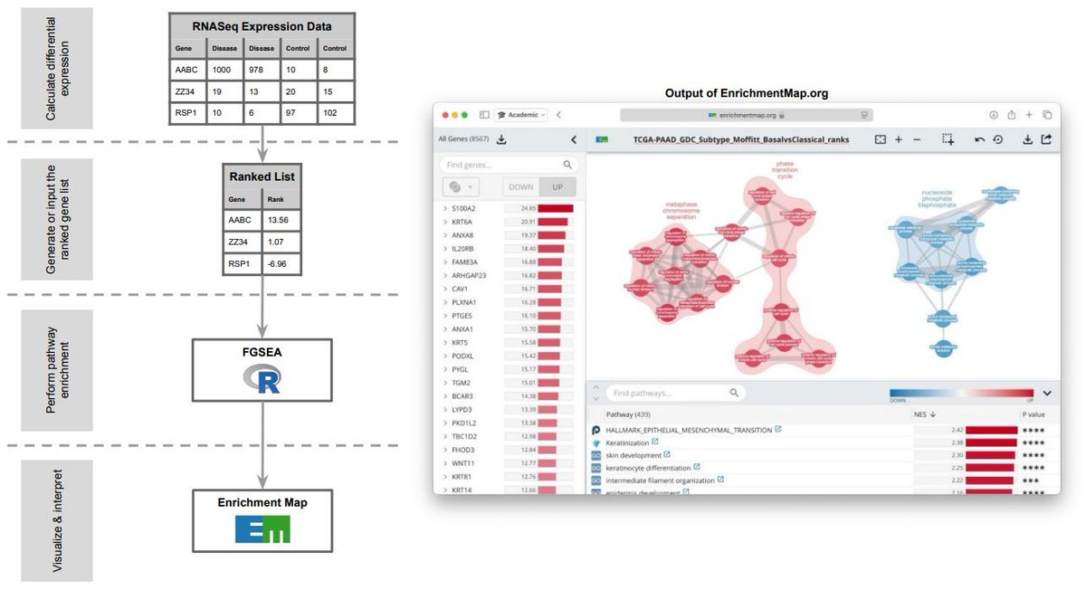 Javier Santoyo (@jsantoyo) on Twitter photo Gene-Set Enrichment Analysis and visualization on the web using EnrichmentMap: RNASeq. #GSEA #WebTool #RNAseq <a href="/BioinfoAdv/">Bioinformatics Advances</a>
academic.oup.com/bioinformatics… Gene-Set Enrichment Analysis and visualization on the web using EnrichmentMap: RNASeq. #GSEA #WebTool #RNAseq <a href="/BioinfoAdv/">Bioinformatics Advances</a>
academic.oup.com/bioinformatics…