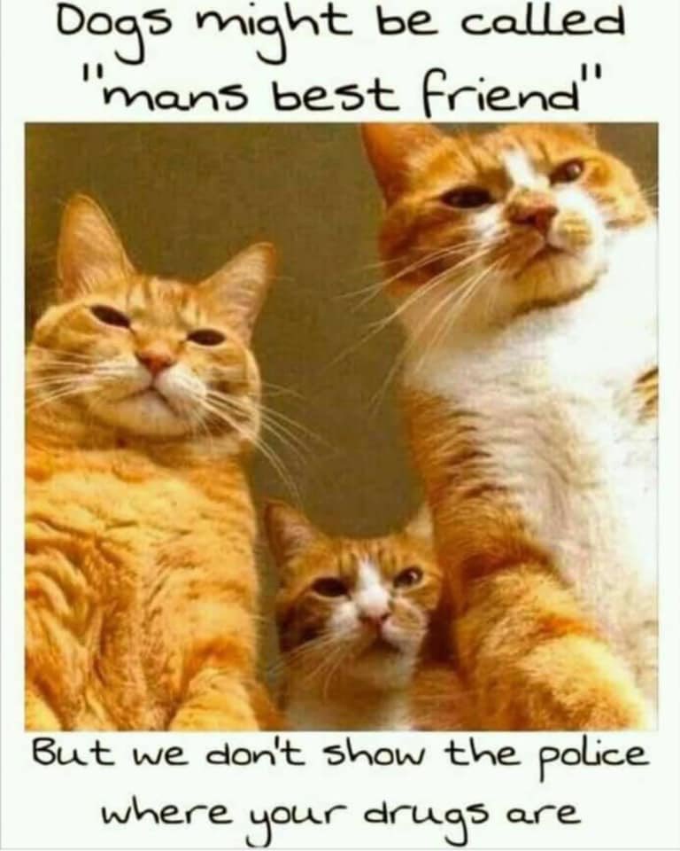 Michael Wetzstein (@wetzste1michael) on Twitter photo 