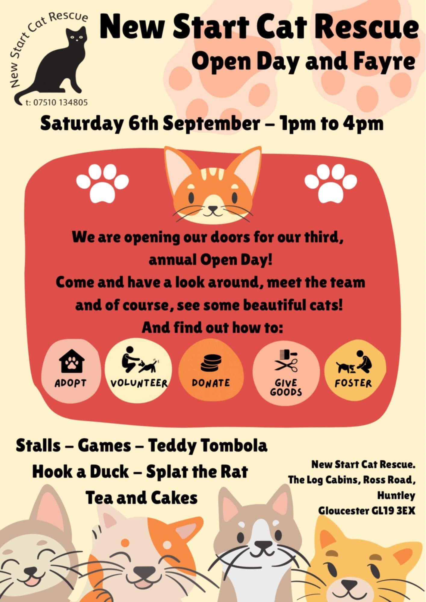 How to Start a Cat Rescue: Ultimate Guide to Saving Felines Fast