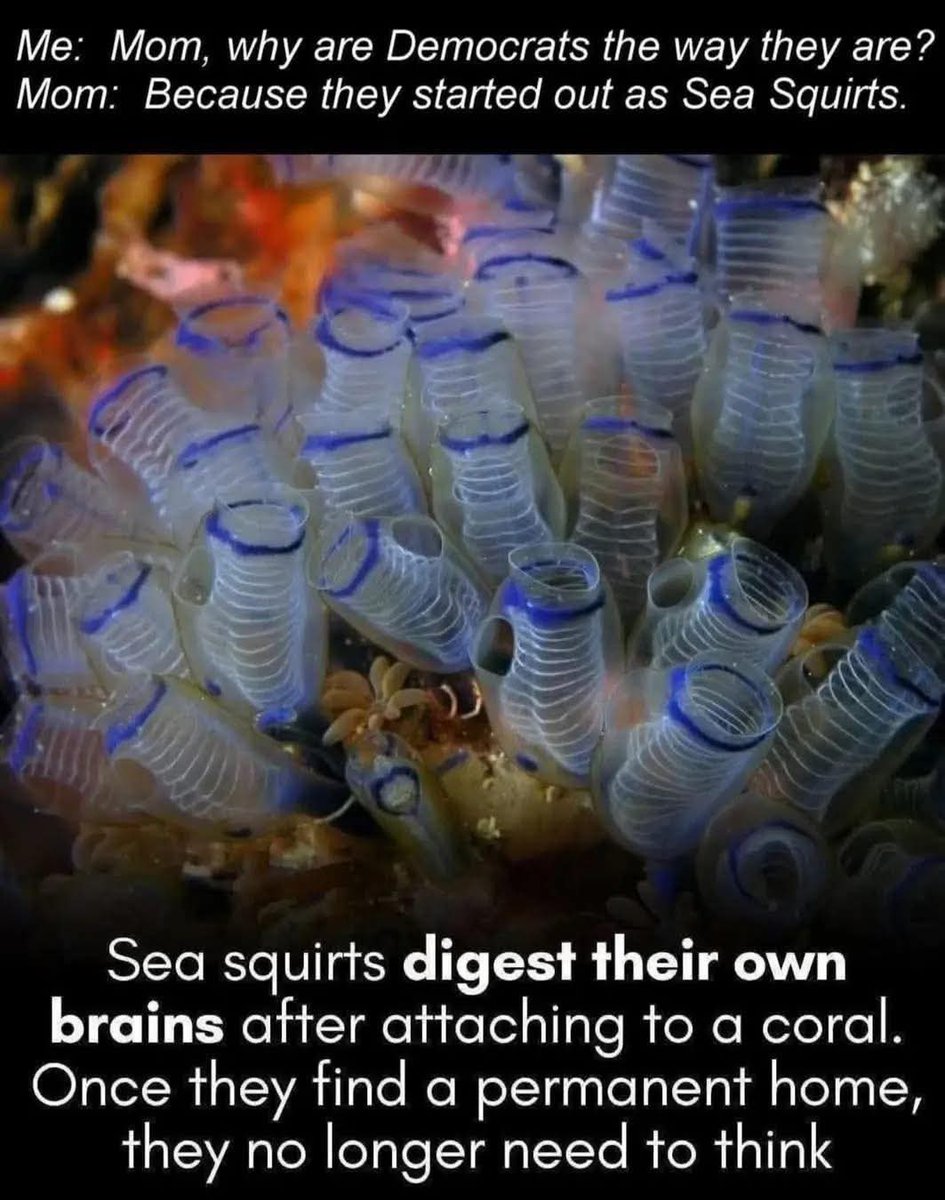 John curry (@johnmikecurry) on Twitter photo 