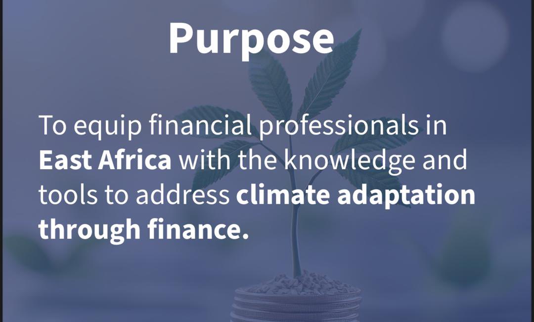 Climate Finance and Sustainability Centre tweet media