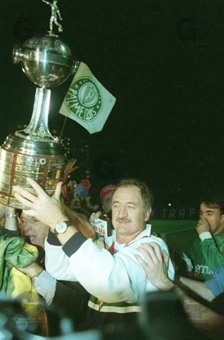 Pardal de ouro tweet media