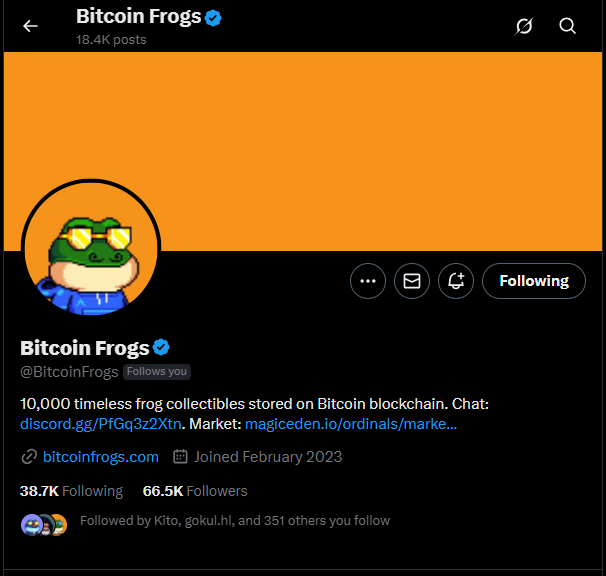 My biggest flex is that I'm followed by the <a href="/BitcoinFrogs/">Bitcoin Frogs</a> page.