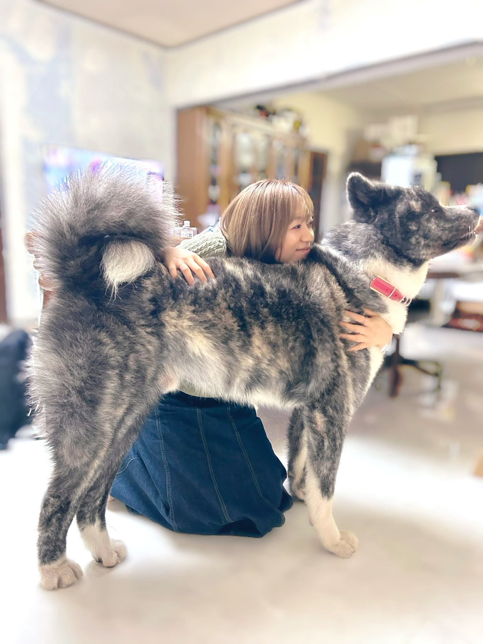 三森千愛Chiaki Mitsumori on X: 