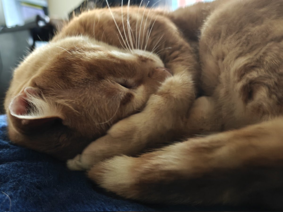 Blogus_Maximus's tweet image. Thursday