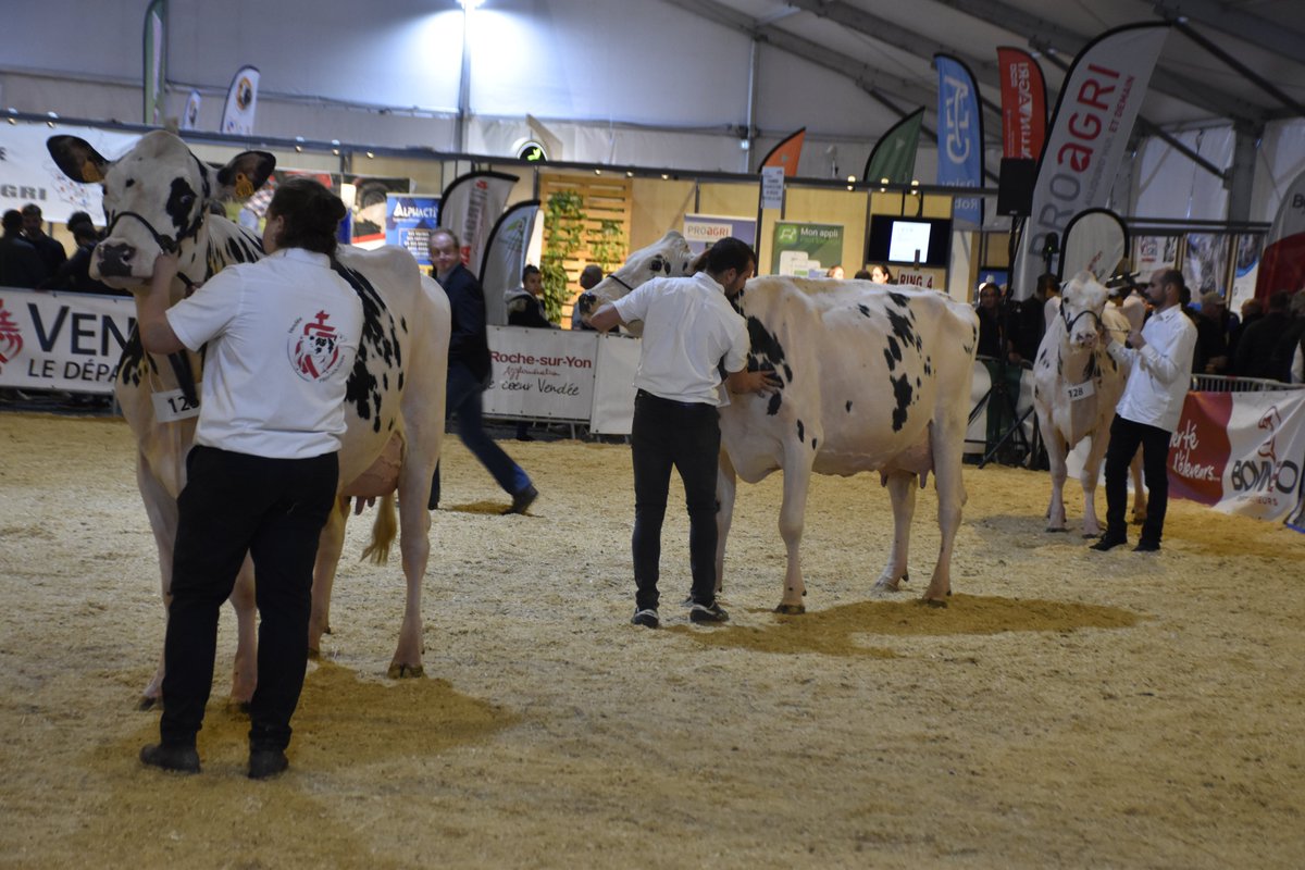 🐄 𝐑𝐞𝐭𝐨𝐮𝐫 𝐬𝐮𝐫 𝐥𝐞 𝐜𝐨𝐧𝐜𝐨𝐮𝐫𝐬 𝐏𝐫𝐢𝐦’𝐇𝐨𝐥𝐬𝐭𝐞𝐢𝐧 𝐚̀ 𝐓𝐞𝐜𝐡 𝐄́𝐥𝐞𝐯𝐚𝐠𝐞
La référence laitière. La Prim’Holstein a offert un concours de haute tenue à #TechElevage : précision, élégance, maîtrise. 
À revivre ici📷
#PrimHolstein #ConcoursLaitier #Élevage