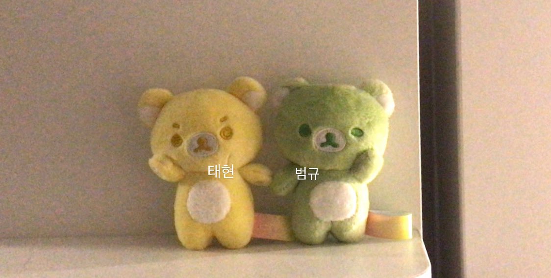 이 귀요미들 너무 우뿌잖아 !!
너무똑같애