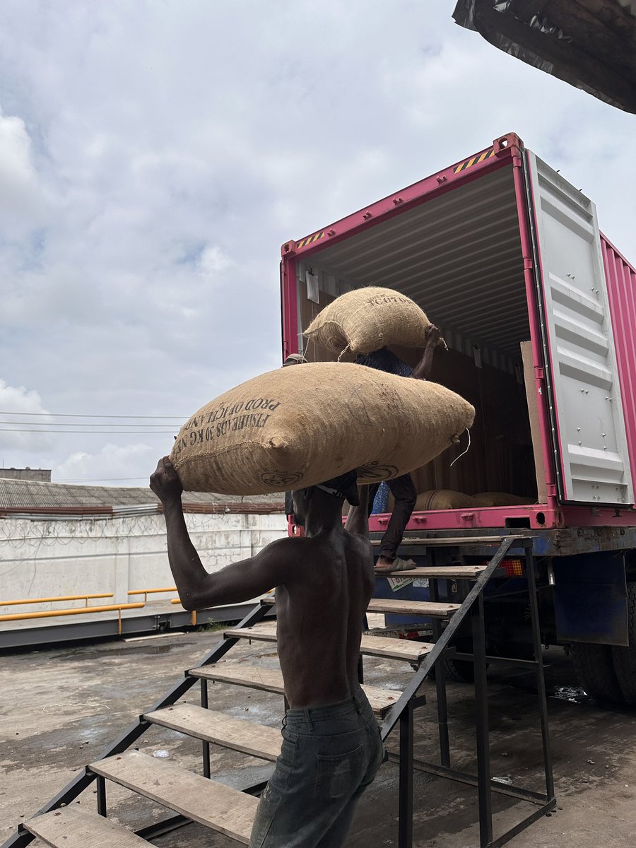 Theseunlijoka's tweet image. Back from a much-needed holiday and straight to the field.
Inspected goods ready for shipment at one of the aggregation hubs.
Nothing beats on-ground conversations when building sustainable export solutions.

#Agribusiness #NonOilExport #ExportReady #BackToWork #TheSeunLijoka
